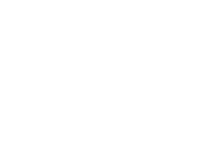 white logo